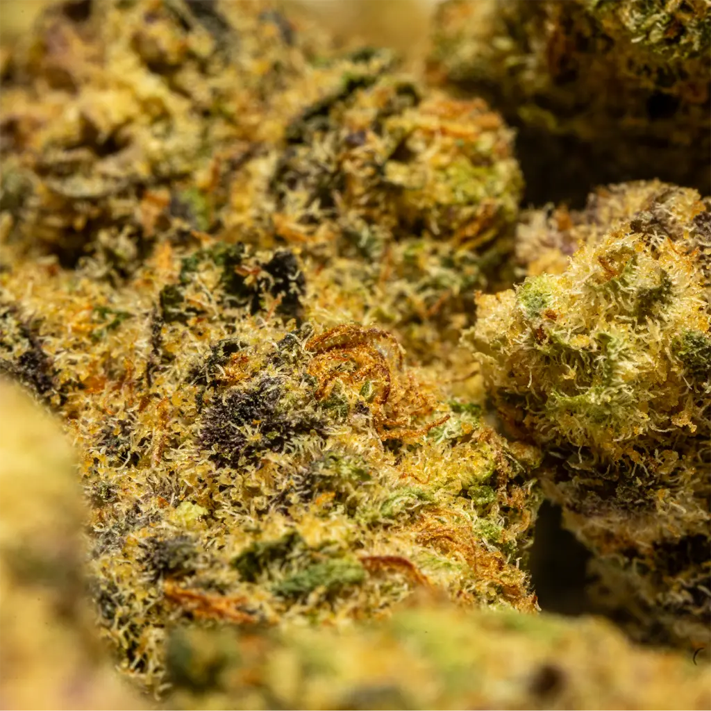 Stax - THCA Flower - 4.2g - Huckleberry Soda - Small Group #5.webp