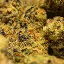 Stax - THCA Flower - 4.2g - Huckleberry Soda - Small Group #5.webp