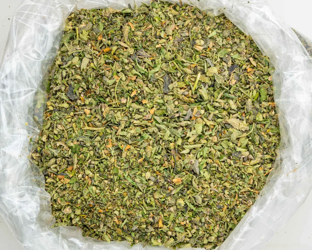 Neon Slushi -BAG- 102925.webp