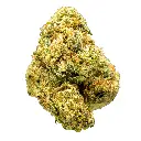 Stax - THCA Flower - Orange Cannoli - Single #1.webp