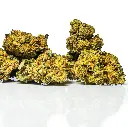 Palms_-_THCA_Flower_-_Blue_Cherry_Gelato_-_Small_Group_2.webp