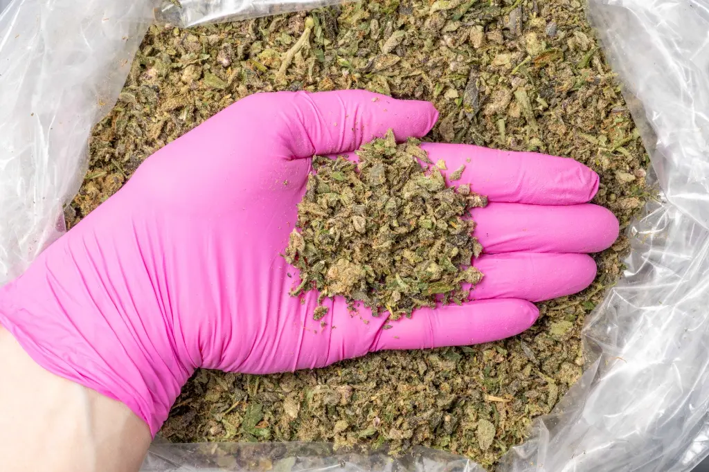 Agent Orange Preroll Mix B 11-19-25 PINK.webp