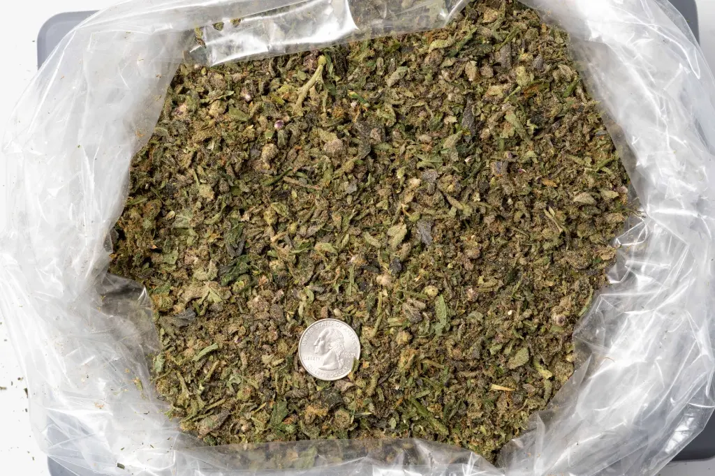 Agent Orange Preroll Mix B 11-19-25 BAG.webp