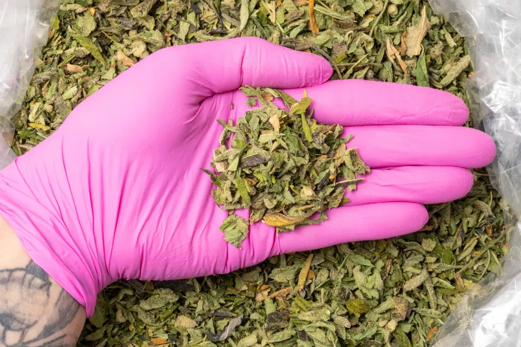 LCG Preroll Mix B 11-19-25 PINK.webp