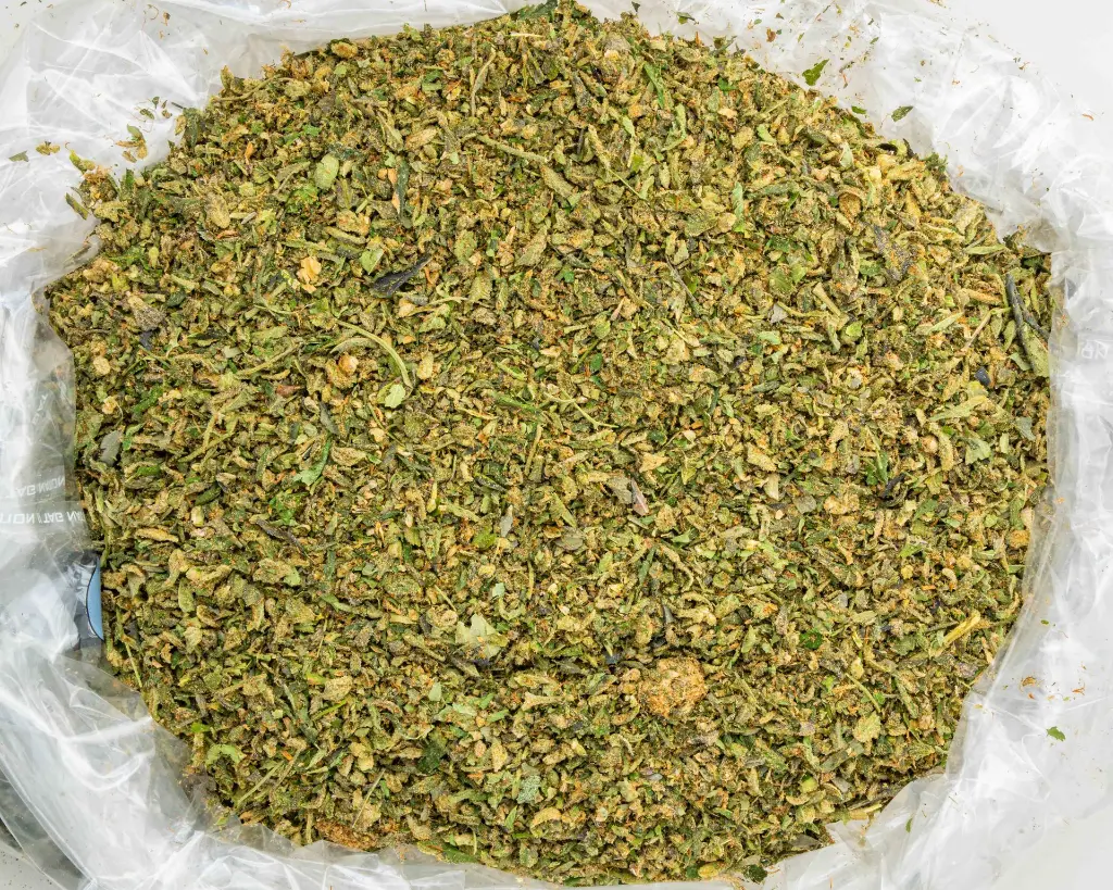 The Soap -BAG- 102925.webp