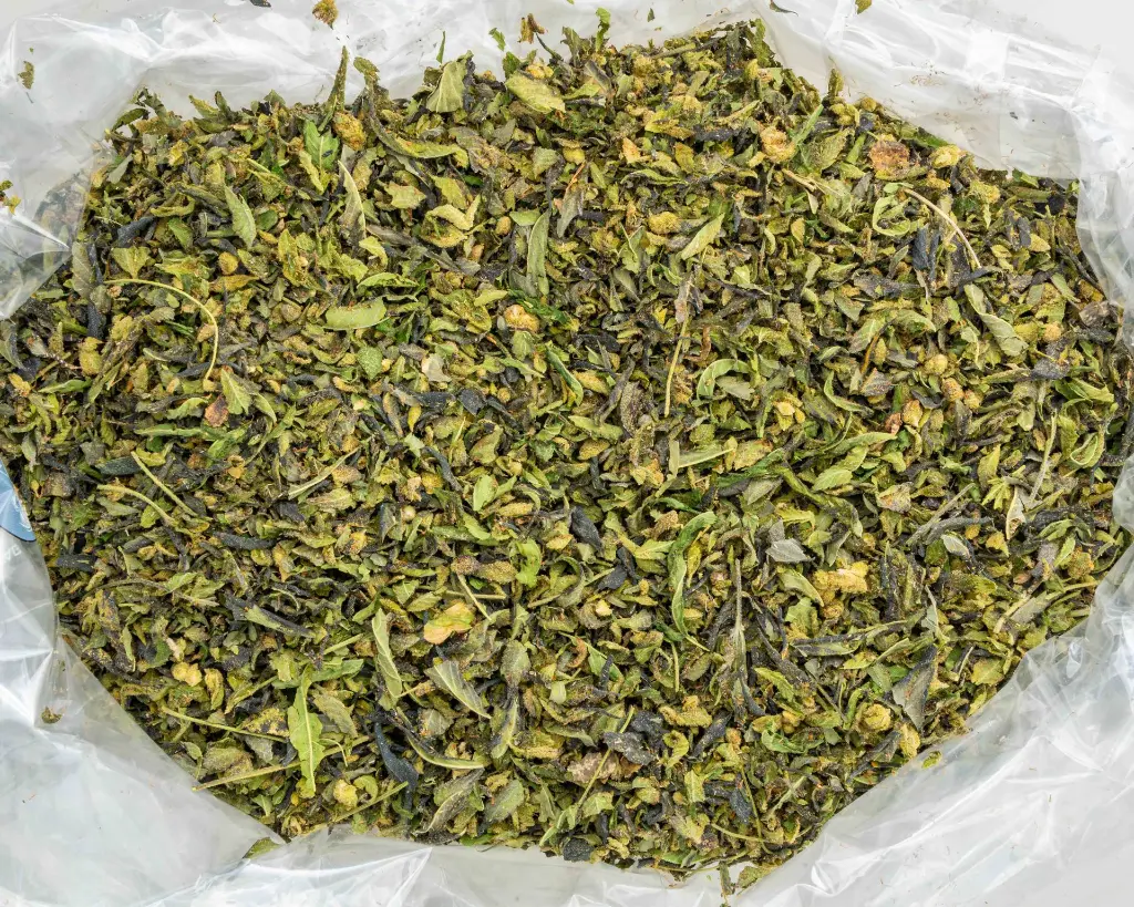 Black Cherry Gelato Trim -BAG- 100625.webp