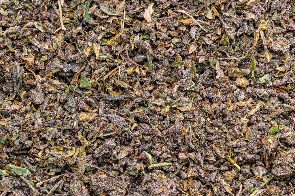 Tropicana Cherry Preroll Mix