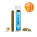 Palms Orange Creamsicle - Pre-Roll Blunt